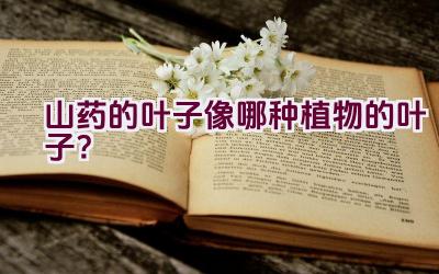 山药的叶子像哪种植物的叶子？插图