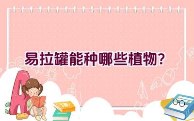 易拉罐能种哪些植物？插图