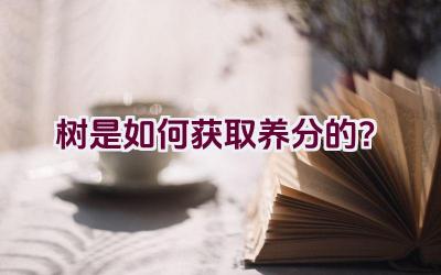 树是如何获取养分的？插图