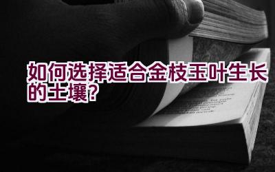 如何选择适合金枝玉叶生长的土壤？