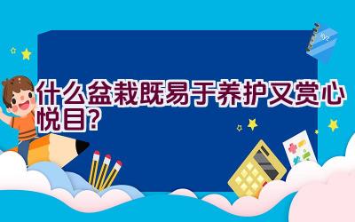 什么盆栽既易于养护又赏心悦目？插图