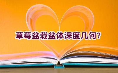 草莓盆栽盆体深度几何？插图