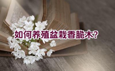 如何养殖盆栽香脆木？插图