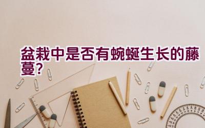 盆栽中是否有蜿蜒生长的藤蔓？插图