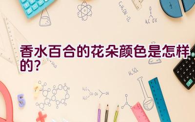 香水百合的花朵颜色是怎样的？