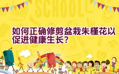 如何正确修剪盆栽朱槿花以促进健康生长？插图