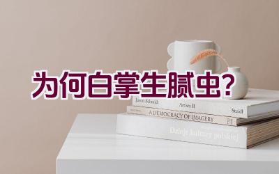 为何白掌生腻虫？插图