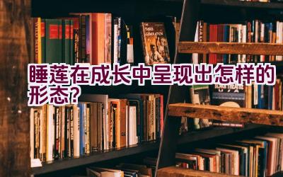 睡莲在成长中呈现出怎样的形态？插图
