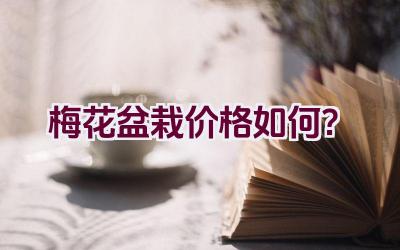 梅花盆栽价格如何？插图