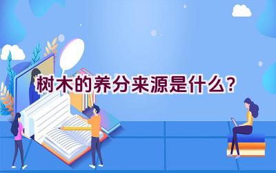 树木的养分来源是什么？插图