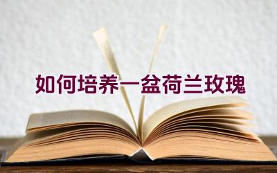 如何培养一盆荷兰玫瑰插图