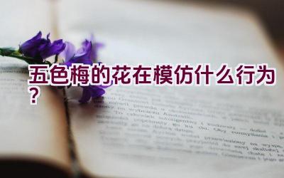 五色梅的花在模仿什么行为？