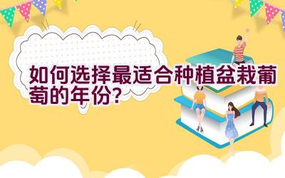 如何选择最适合种植盆栽葡萄的年份？插图