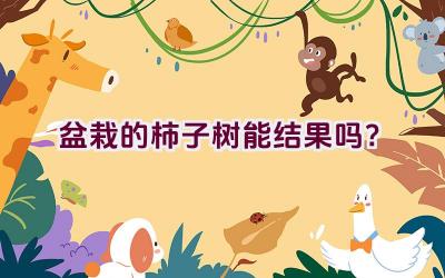 盆栽的柿子树能结果吗？插图