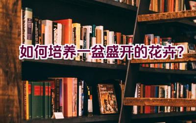如何培养一盆盛开的花卉？插图