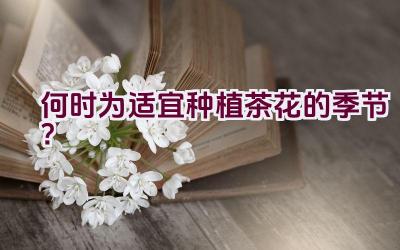 何时为适宜种植茶花的季节？插图