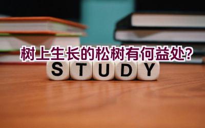 树上生长的松树有何益处？