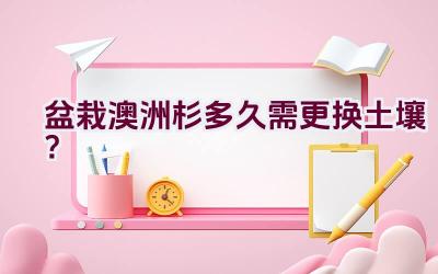 盆栽澳洲杉多久需更换土壤？插图