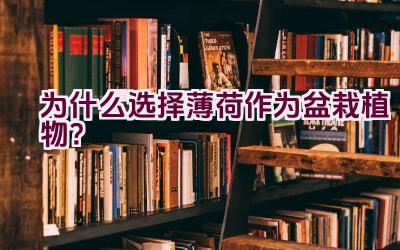 为什么选择薄荷作为盆栽植物？插图