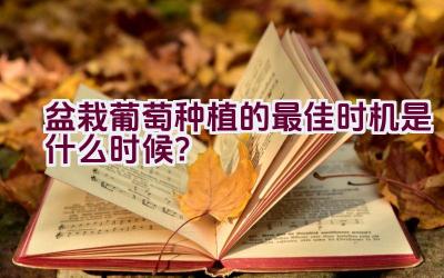 盆栽葡萄种植的最佳时机是什么时候？插图