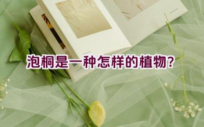 泡桐是一种怎样的植物？插图