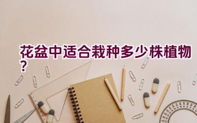 花盆中适合栽种多少株植物？插图