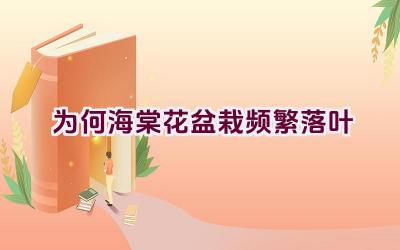 为何海棠花盆栽频繁落叶插图