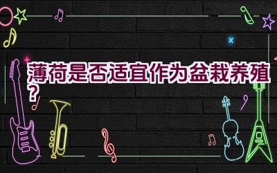 薄荷是否适宜作为盆栽养殖？插图