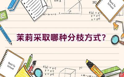 茉莉采取哪种分枝方式？插图