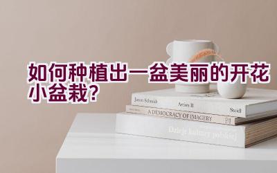 如何种植出一盆美丽的开花小盆栽？插图