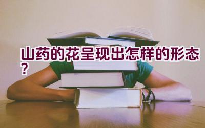 山药的花呈现出怎样的形态？插图