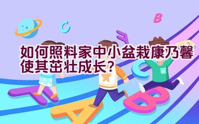 “如何照料家中小盆栽康乃馨使其茁壮成长？”插图