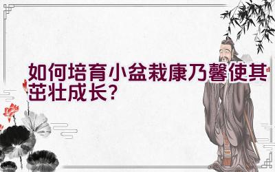 如何培育小盆栽康乃馨使其茁壮成长？插图
