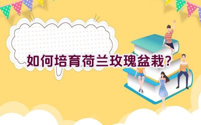 如何培育荷兰玫瑰盆栽？插图