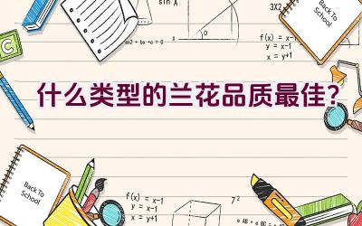 什么类型的兰花品质最佳？