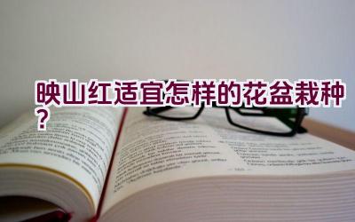 映山红适宜怎样的花盆栽种？插图