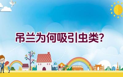 吊兰为何吸引虫类？插图