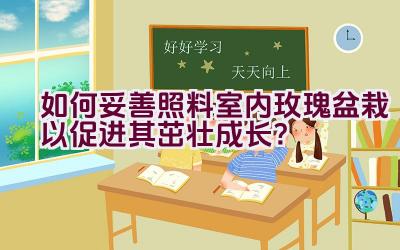 如何妥善照料室内玫瑰盆栽以促进其茁壮成长？插图