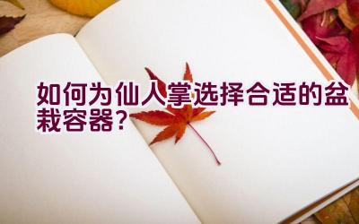 如何为仙人掌选择合适的盆栽容器？插图