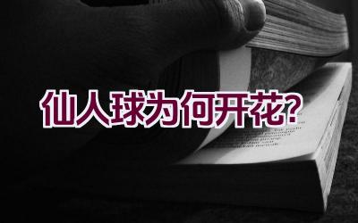 仙人球为何开花？插图