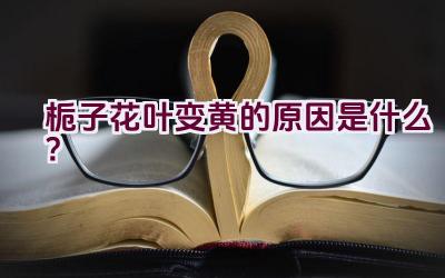 栀子花叶变黄的原因是什么？插图
