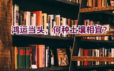 鸿运当头，何种土壤相宜？插图