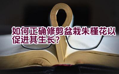 如何正确修剪盆栽朱槿花以促进其生长？插图