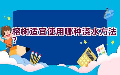 榕树适宜使用哪种浇水方法？插图