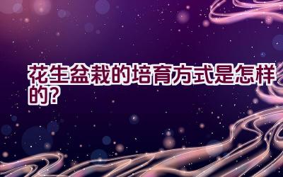 花生盆栽的培育方式是怎样的？插图