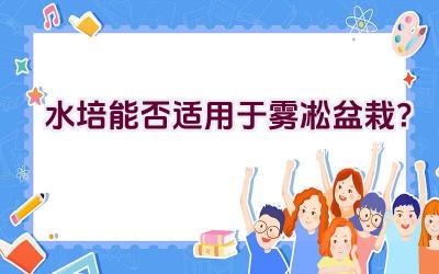 水培能否适用于雾凇盆栽？插图