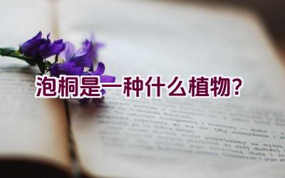 泡桐是一种什么植物？插图