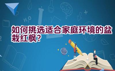 如何挑选适合家庭环境的盆栽红枫？插图