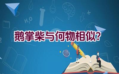 鹅掌柴与何物相似？