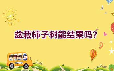 盆栽柿子树能结果吗？插图
